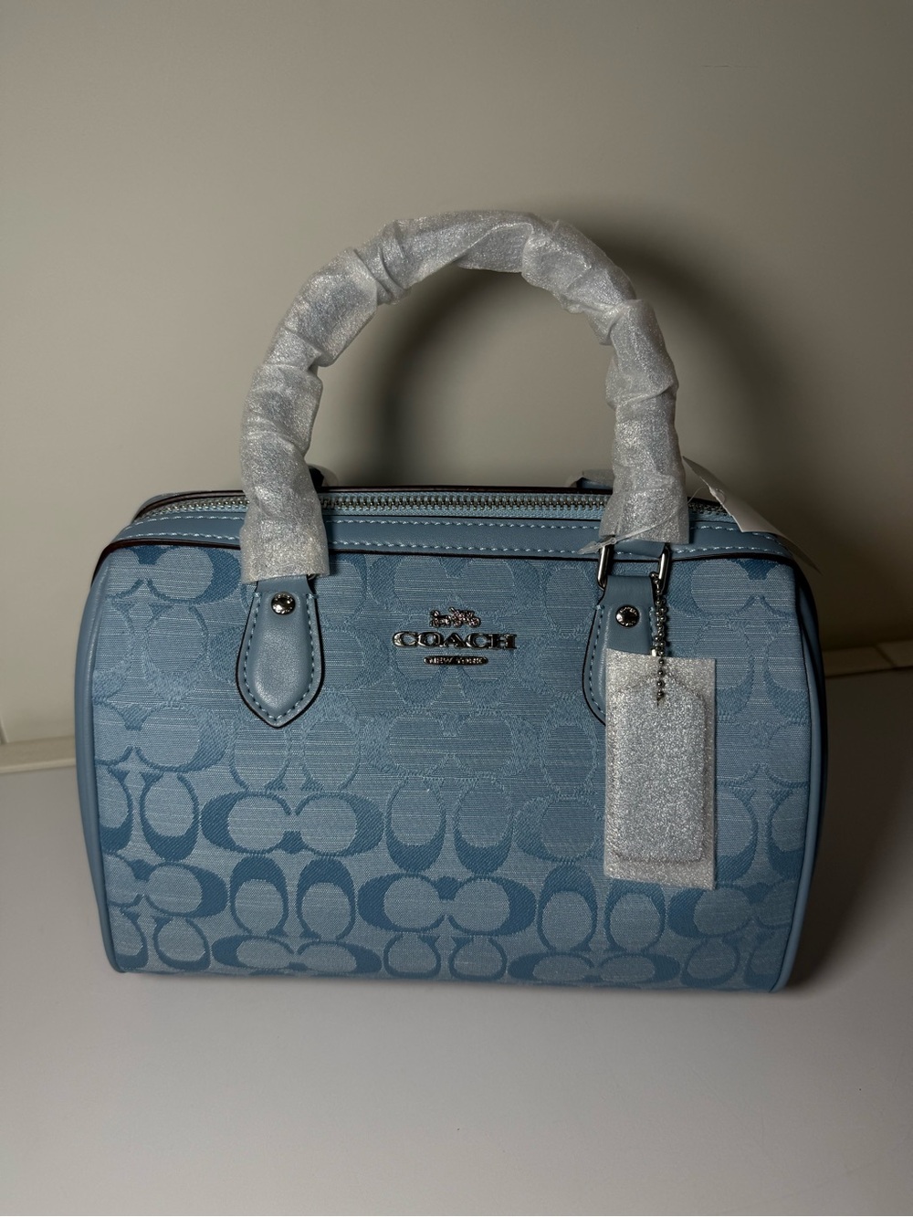 Coach Light Blue Signature Dome Satchel